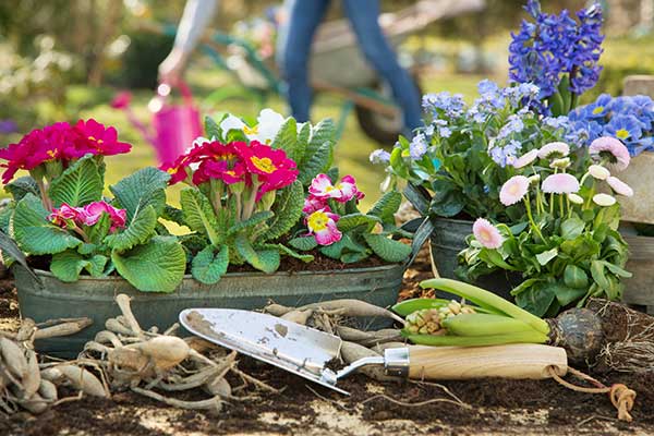 Blumen und Gartenarbeit