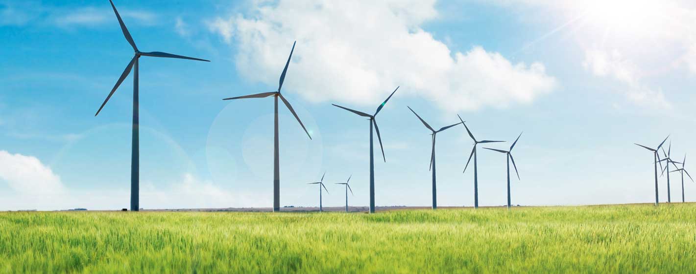 naturschutz-und-energie-wende-im-einklang_header