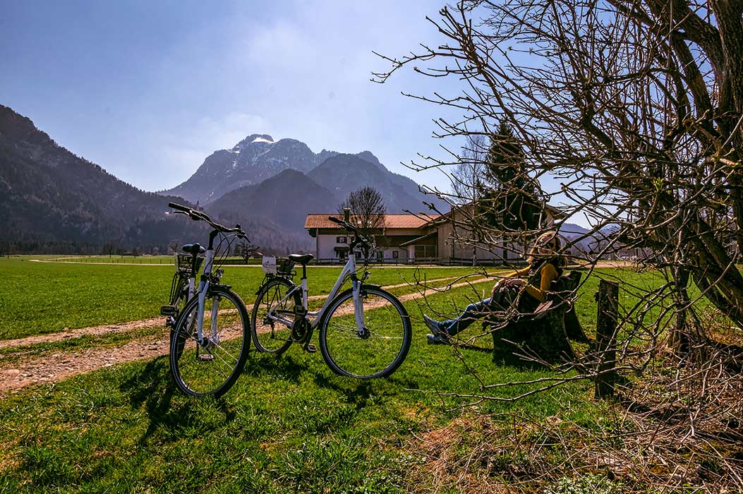 E-Bike auf einer Wiese vor den Bergen