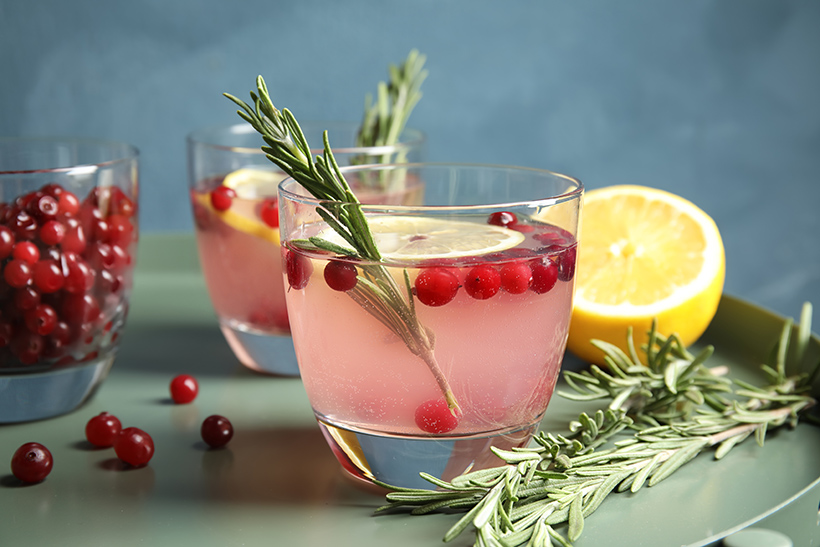 Warmer Cranberry Cocktail