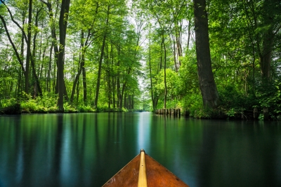 Blick aus dem Kanu in den Spreewald
