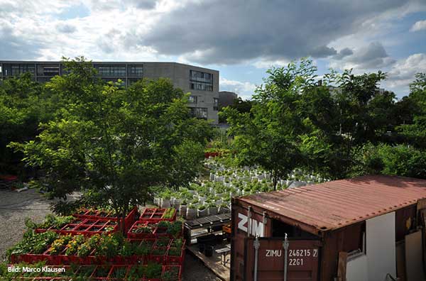 Die Prinzessinnengärten in Berlin.