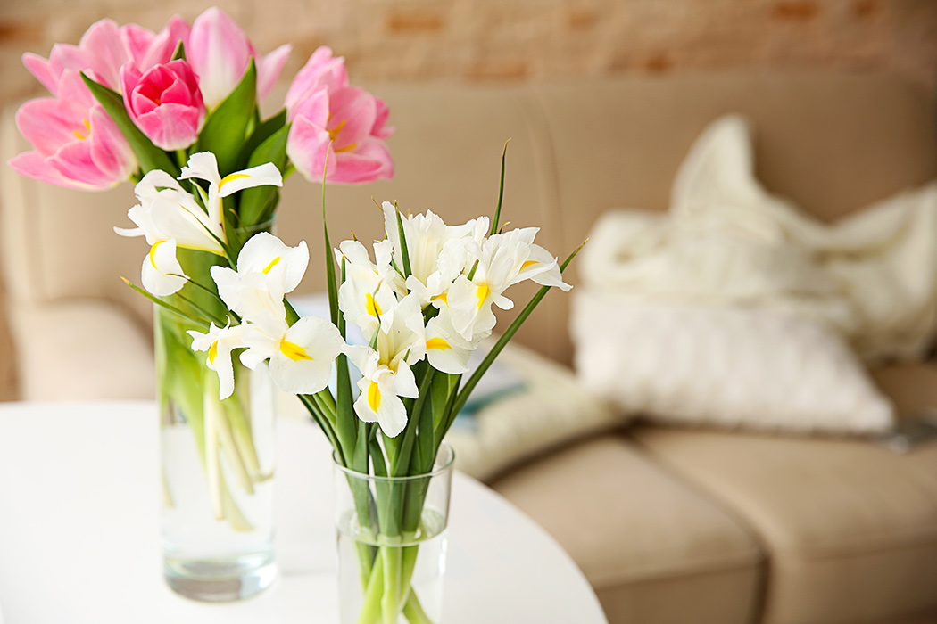 Tulpen und Narzissen auf dem Tisch im Wohnzimmer