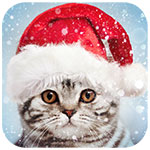 App-Icon Fotorahmen